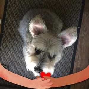 Meet your Posher, Vickie